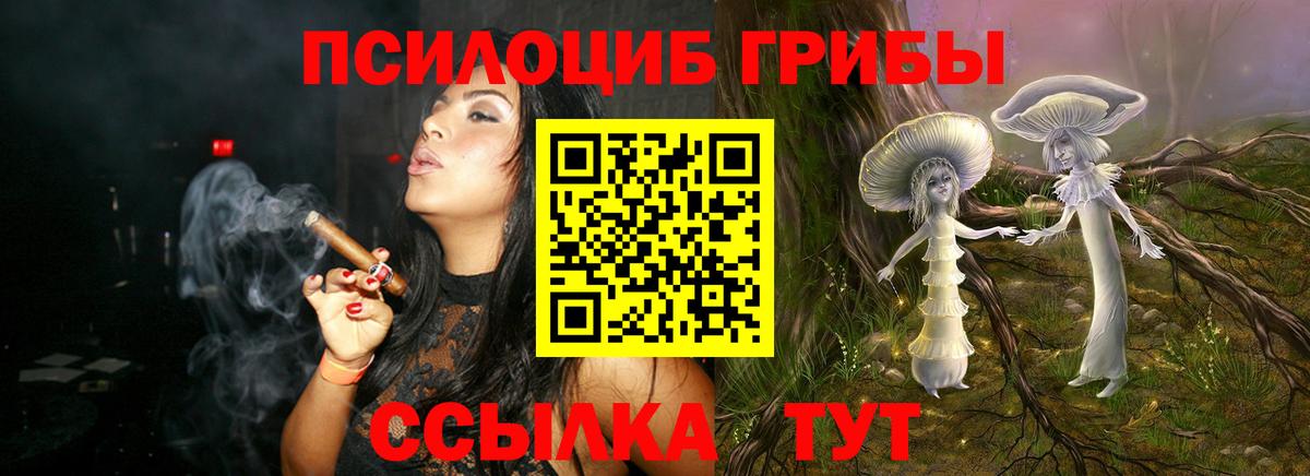 купить закладку  Псилоцибиновые грибы Psilocybine cubensis  Ногинск  Вход с VPN  Галлюциногенные грибы мухоморы 